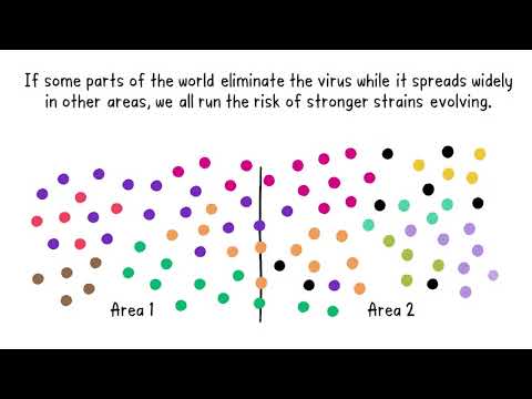 To stop stronger Covid-19 variants from emerging we need to work together globally