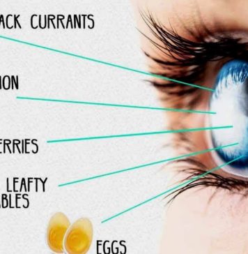 Best Foods for Eyes