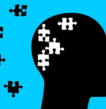 Capital campaign mental health