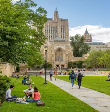 Yale University Mascot