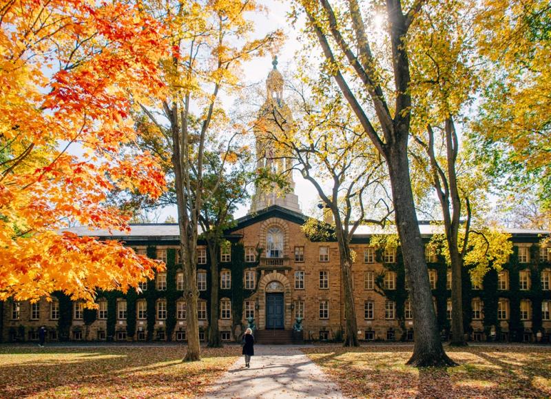 Princeton University Scholarship