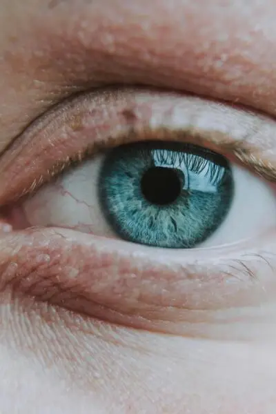 wrinkles and eye cream 