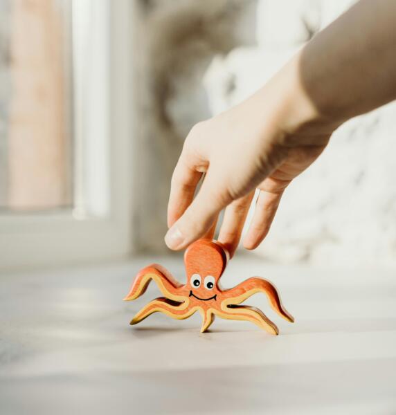 octopus eyes