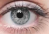Grey Eyes: Rarity, Meaning, Genetics, and Fascinating Facts grey eyes