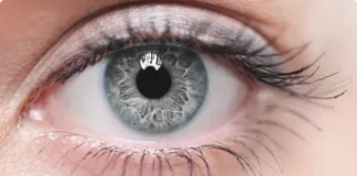 grey eyes