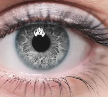 grey eyes