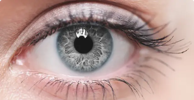 grey eyes