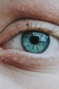 wrinkles and eye cream