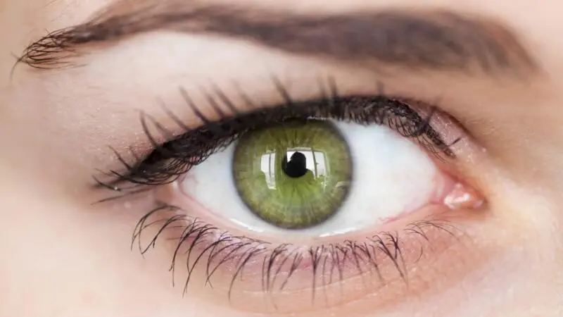 Greenish Greyish Eyes